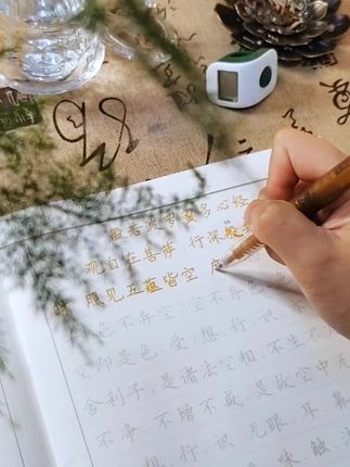 抄的是经,修的是心,见山见水见自,己,诚心清心静心#练字静心 #写字是一种生活 #每日分享 #禅意生活