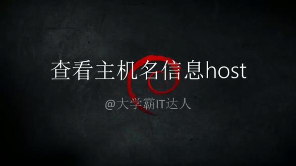 【网络配置命令合集】查看主机名信息host