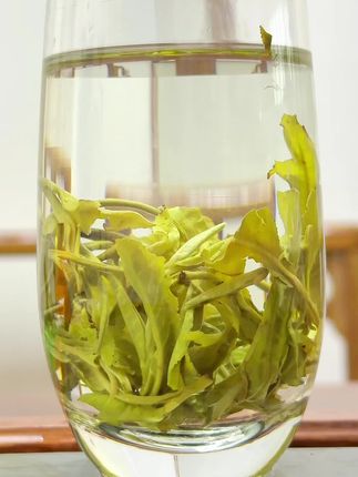 茉莉花茶,入喉:鲜灵,甘甜,清爽。#今日分享 #茶生活 #口粮茶推荐 #茉莉花茶 #召唤茶友
