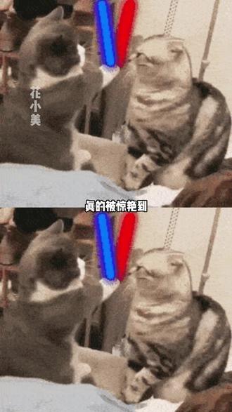 真是被多闪的小火人惊艳到了 #新年解锁多闪的自己 #多闪2026马上遇见 #多闪app