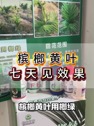 七天转绿就用榔绿#槟榔 #槟榔种植 #槟榔管家 #槟榔黄叶用榔绿