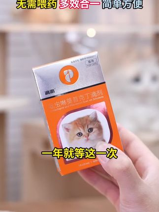 #养猫小百科 #养宠进阶指南 #养猫新手 #猫咪驱虫 #宠物驱虫