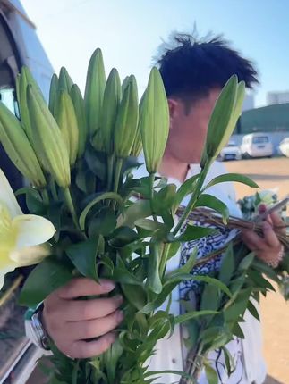 黄天霸!#斗南黄梦宇 #斗南花卉市场 #斗南鲜花