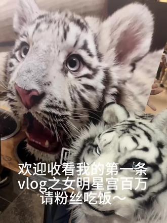 @宫百万 @宫百万(一万者也版) 我的爱播嘿嘿
#宫百万