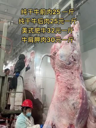 纯干牛前肉25 一斤，65斤一件
纯干牛后肉25元一斤，65斤一件
美式肥牛32元一斤，50斤一件
牛肩胛肉30元一斤，50斤一件#牛肉 #黄牛肉 #牛羊肉批发 #牛副产品