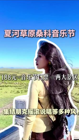 这个夏天 真的得去一趟甘南了#夏河草原音乐节 #桑科草原 #草原歌曲 #音乐节现场 #黑豹乐队
