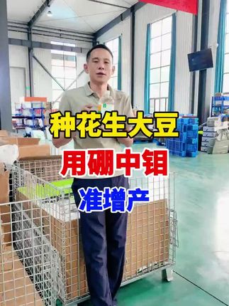 大豆高产就用硼中钼 #三农种植 #服务三农 #助力三农