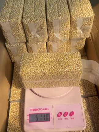 大兴安岭深山採的小松仁一直有货,野生的没有化肥农药机器去壳可以放心吃,原味生的开袋即食就可以#松仁 #松子 #东北松子 #松子仁