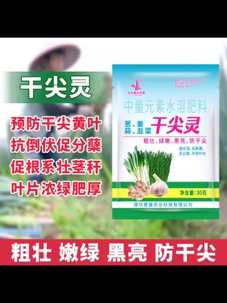 乐众青山【韭葱姜蒜干尖灵】黄叶烂根干尖水溶肥#干尖灵#水溶肥#韭葱姜蒜干尖灵#中量元素水溶肥#黄叶烂根一喷灵