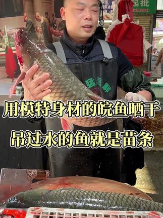 用模特身材的鱼晒鱼干,吊过水的鱼就是苗条!#刀工#杀鱼技术#厨房菜刀