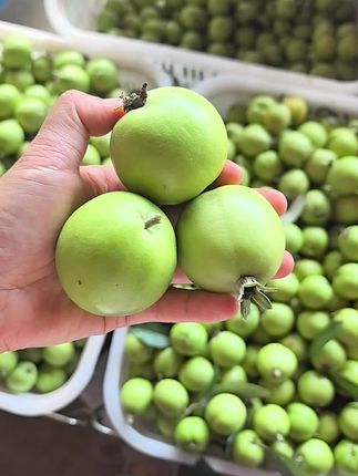 批发 零售都可以,邦伞 勐片 勐波都可以发货,