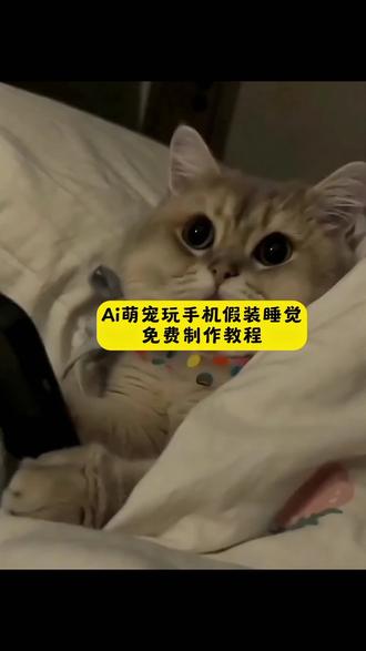 小猫小狗萌宝装睡记ai教程 #ai萌宝 装睡记 #ai小狗装睡特效 #随便一躺 萌到心化 #剪映 ai小狗装睡视频生成 口令 狗狗到点就睡觉 狗假装睡觉行为 狗狗装睡 小狗晚上不睡觉看手机 随便一躺萌到心化特效 随便一躺萌到心化教程 随便一躺萌到心化模版 狗狗的可爱视频 ai小猫装睡 ai宠物装睡 ai萌宠装睡 柯基睡觉 ai视频 柯基ai 装睡ai特效 装睡ai 装睡ai生成 永远叫不醒一只装睡的狗 狗狗装睡ai视频 猫咪装睡ai视频 装睡的狗原视频 小狗装睡有趣视频 宠物ai 各种小狗ai 狗狗ai特效 ai小狗装睡口令 小狗ai特效怎么做 ai小狗装睡特效制作 ai萌宝装睡记 宠物ai生成入口 ai萌宝装睡记特效 小狗偷玩手机ai 小狗偷玩手机ai ai装睡 ai装睡特效 ai装睡模版 狗装睡 猫装睡 人装睡 鹦鹉装睡