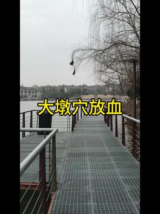 立春大敦穴放血😁