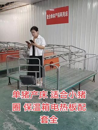#畜牧养殖设备 #养殖设备一站式采购 #单体产床 #单体母猪产床 #母猪产床