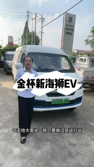 金杯物流神器 2座盲窗货运版 新海狮Ev #好车不贵经济实惠 #性价比超高