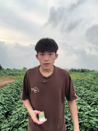 自己的故事,真实