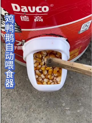 新型家禽自动下料器,拒绝抢食,防风防雨干净卫生,食孔大小只供一只鸡使用,防抢食节省饲料#家禽养殖#鸡鸭鹅自动喂食器#养殖好帮手#三农养殖