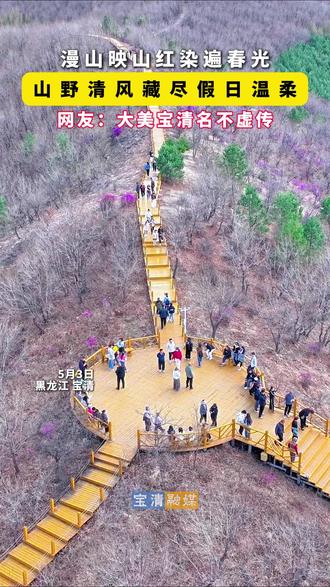 漫山映山红染遍春光
山野清风藏尽假日温柔
网友:大美宝清名不虚传