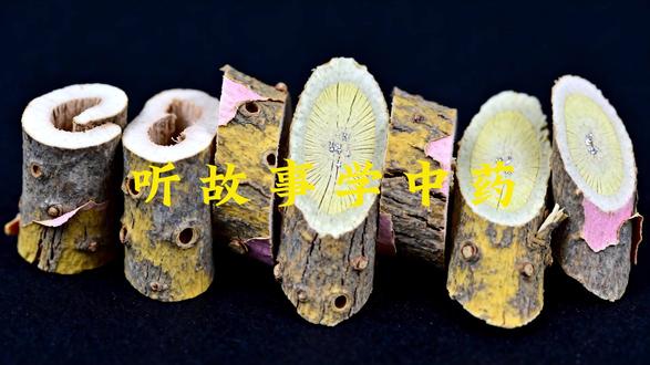 听故事学中药:今天讲丹皮的故事 #中药 #中医 #中医养生 #养生知识 #丹皮
丹皮(牡丹皮)
•性味:苦、辛,微寒。
•归经:归心、肝、肾经。
•功效:清热凉血、活血化瘀、退虚热;现代医学含丹皮酚、芍药苷等活性成分,适用于热入营血、温毒发斑、血热吐衄、阴虚发热、瘀血经闭、痛经、癥瘕腹痛、痈肿疮毒等辅助调理。
内容仅供参考,临床应用请遵循医嘱,如有不适请线下就医