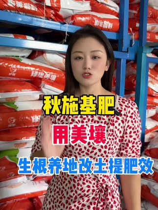 果树秋肥,一定要试一下美壤,生根改土提高肥效,一亩地一袋#有机肥 #果树秋肥 #农业种植 #三农种植