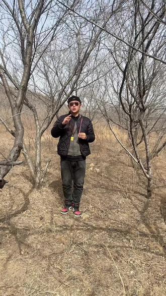 桃枭是桃树上经霜不落、高挂枝头的干桃核,因干瘪悬挂如枭首(猫头鹰头部)而得名,也叫桃奴、鬼髑髅、瘪桃干等。《本草纲目》记载其“经冬不落,正月采之,中实者良”,即经过酷寒冬季风霜后仍挂在枝头,正月采摘且内核坚实的为好。#桃枭 #老祖宗的智慧 #传统文化 #护身符 #桃枭有什么作用