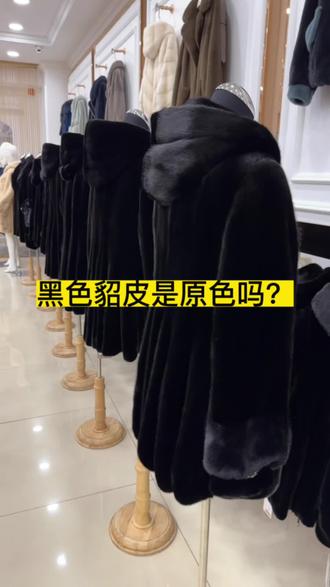 黑色貂皮不是原色貂皮,是最深的咖啡色经过染黑的! #貂皮大衣 #同城热门 #貂皮实体店