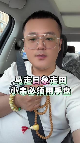 马走日象走田,小串必须用手盘! #文玩鉴定 #小亮文玩鉴定 #文玩核桃 #文玩手串 #文玩知识