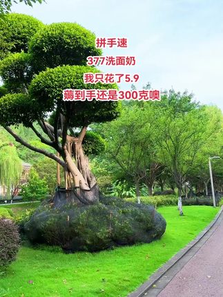 想要皮肤白白嫩嫩的,就用这个377美白半班洗脸奶,它含有烟酰胺和377等多种成份,每天早晚坚持让它洗脸,你的皮肤会越来越好哦!#好物推荐🔥 #洗面奶 #美白 #@DOU+上热门🔥