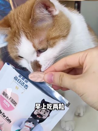 家有臭嘴怪的 可以试试这款洁齿粒,改善猫咪口腔健康,适口性猫咪也爱吃~#萌宠好物 #养猫新手 #麦富迪 #洁齿冻干