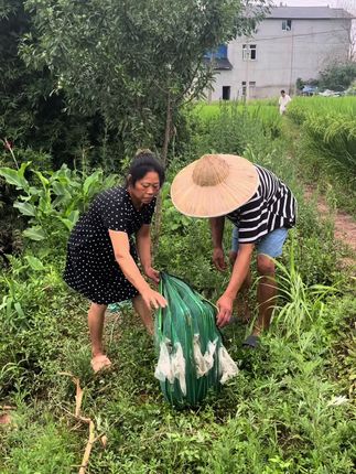 #户外抓鱼 #田园生活乐趣多