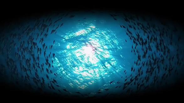 假如我年少有为知进退
才不会让你替我受罪#楚天以南 #楚天以南广播剧 #年少有为