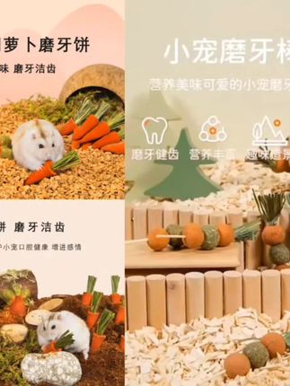 #仓鼠粮食 仓鼠粮食主粮磨牙棒田园生活谷穗垫料造景用品金丝熊零食提摩西草#仓鼠磨牙棒 #仓鼠粮 #宠物用品 #宠物粮食 @巨量千川 @DOU+上热门 @小店随心推