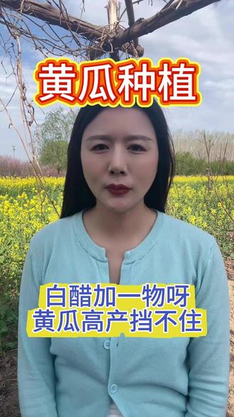 白醋加一物呀,黄瓜高产挡不住。 #黄瓜 #黄瓜种植 #黄瓜高产 #三农 #农资人