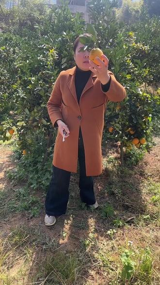 视频在线,脐橙在线。