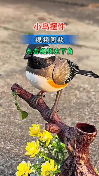 #声控 #仿真小鸟 #超便宜超划算c
