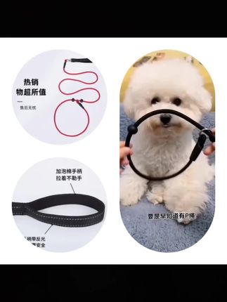 狗狗牵引绳用品比赛细P绳一体式专业训犬绳防爆冲八字狗绳牵引绳#牵引绳 #宠物牵引绳 #宠物用品