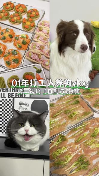 #热门话题🔥 又是一期自制零食
做零食虽然累,但看到小酷吃的那么开心,值。
#自制宠物零食 #狗狗 #萌宠边牧