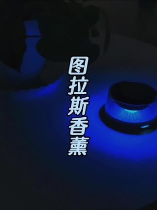 你是否还记得初次相遇就让你心动的某个人,亦或某个瞬间?#香薰 #图拉斯 #车品 #高级感 #礼物