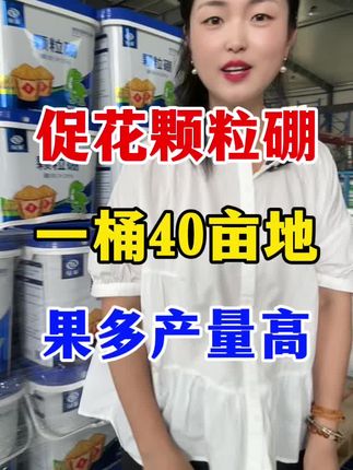 促花颗粒硼大桶撒40亩,作物开花多结果多 #颗粒硼#硼肥的作用及功能 #硼肥