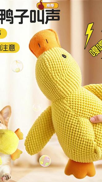 哪只狗狗还没有一只小黄鸭? #狗狗玩具 #宠物毛绒玩具 #萌宠好物推荐 #发声玩具 #鸭子
