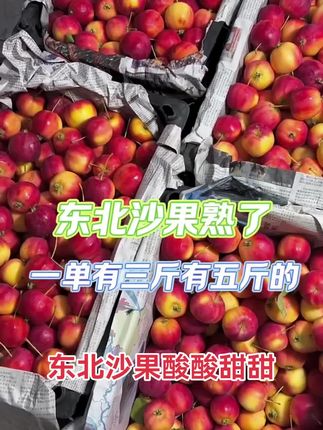 #沙果 #海棠果 #黄太平 #应季水果 #快来一起尝个鲜