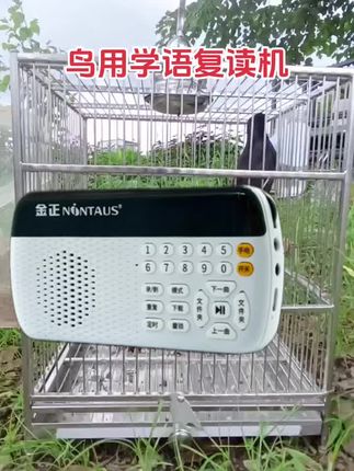 鸟儿学说话,每天早中晚各一次#推荐#鸟类#播放器