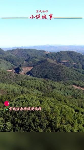 宣威市务德镇茨嘎村林下天麻种植正在进行中 #和美宣威 #天麻