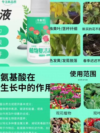 【植物复活液】浓缩营养氨基酸液植物光杆发黄掉叶根系生长生根#养花小知识 #花卉植物 #复活液