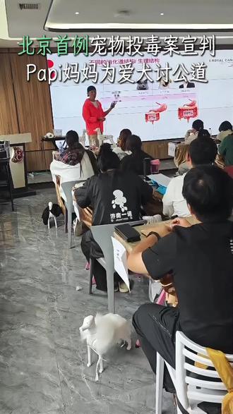 #papi西高地 北京首例宠物投毒案宣判了。2025年12月,被告人因不满狗尿污染三轮车,投放剧毒物质。导致11只宠物犬中毒,9只死亡。其中,13岁的西高地犬Papi也离开了我们。Papi妈妈为讨公道,辞去工作自学法律。她联合受害家庭诉讼1000多天,承受网络暴力和抑郁。被告拒绝道歉赔偿。最终,法院判处其四年有期徒刑。判决强调矛盾是人与人问题,不能危害公共安全。Papi妈妈的坚持让罪犯付出代价。这案件为全国宠物维权树立里程碑。它震慑了同类行为,推动反虐待动物法立法。她为所有毛孩子照亮了法律维权之路。作为宠物美容师,我们不仅呵护外表,更要守护生命。学习法律知识,保护毛孩子安全。关注我,一起提升宠物美容技能,为它们创造更安全的世界。点赞支持,评论分享你的观点!