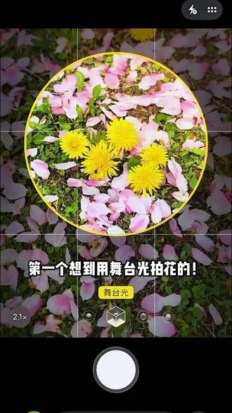 苹果原相机出片竟然这么权威?! #iPhone #原相机 #绣球花 #拍照技巧 #舞台光