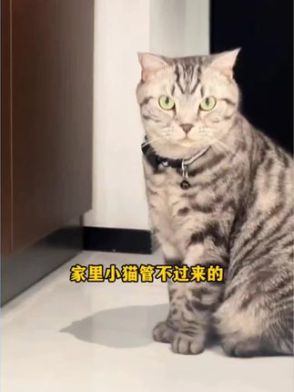 #宠物防丢器#可爱萌宠 #家有宠物很幸福 #定位器#超长续航@巨量千川 @DOU+小助手