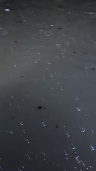 #暴雨天 #涨水了 荆州的雨你就淹吧