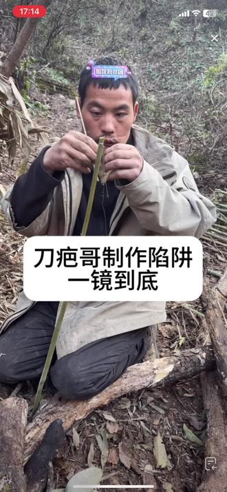 刀疤哥一天一只沟沟叫。