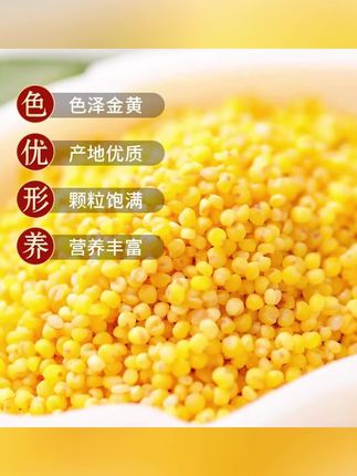 郝邵文推荐 山西黄小米食品早餐农家新米熬粥米油杂粮 #山西黄小米 #农家小米 #熬粥小米 #早餐小米 #杂粮小米